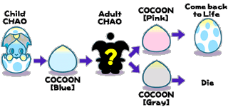 chaolifecycle.gif